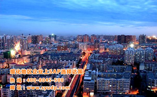 綏化erp軟件公司|綏化sap代理商|松原sap實施商選擇達策