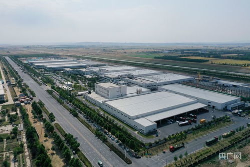 河南溫縣 一甜一咸 助推食品產(chǎn)業(yè)發(fā)展