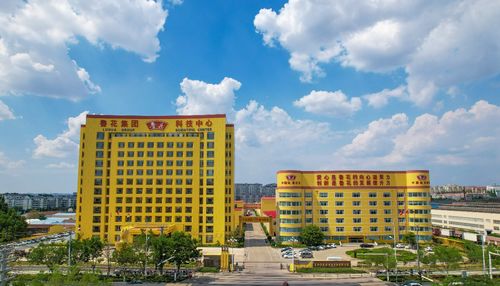 農(nóng)業(yè)企業(yè)的時代使命 魯花樣本 助力鄉(xiāng)村振興的實踐探索