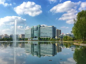 迎浦東開發(fā)開放27周年系列 企業(yè)為何而來 這里有 最適合創(chuàng)業(yè)的土壤